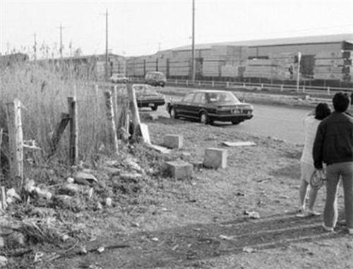 17岁女孩被4名小混混折磨41天致死，为何谋杀罪名不成立？