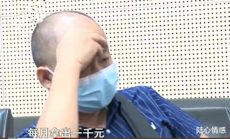 陆心情感|46岁女未婚生子,一纸亲子鉴定让男方崩溃,代驾司机:我是背锅侠