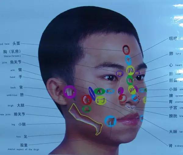 健康缘来很简单|人体全息图，哪里不适按哪里（留着备用）