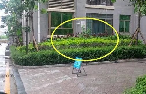 |底楼再便宜也不要买,我家就是个教训,处处都是坑!