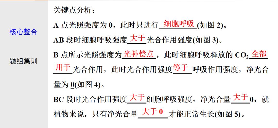 初中生物:光合作用与细胞呼吸知识点详解!
