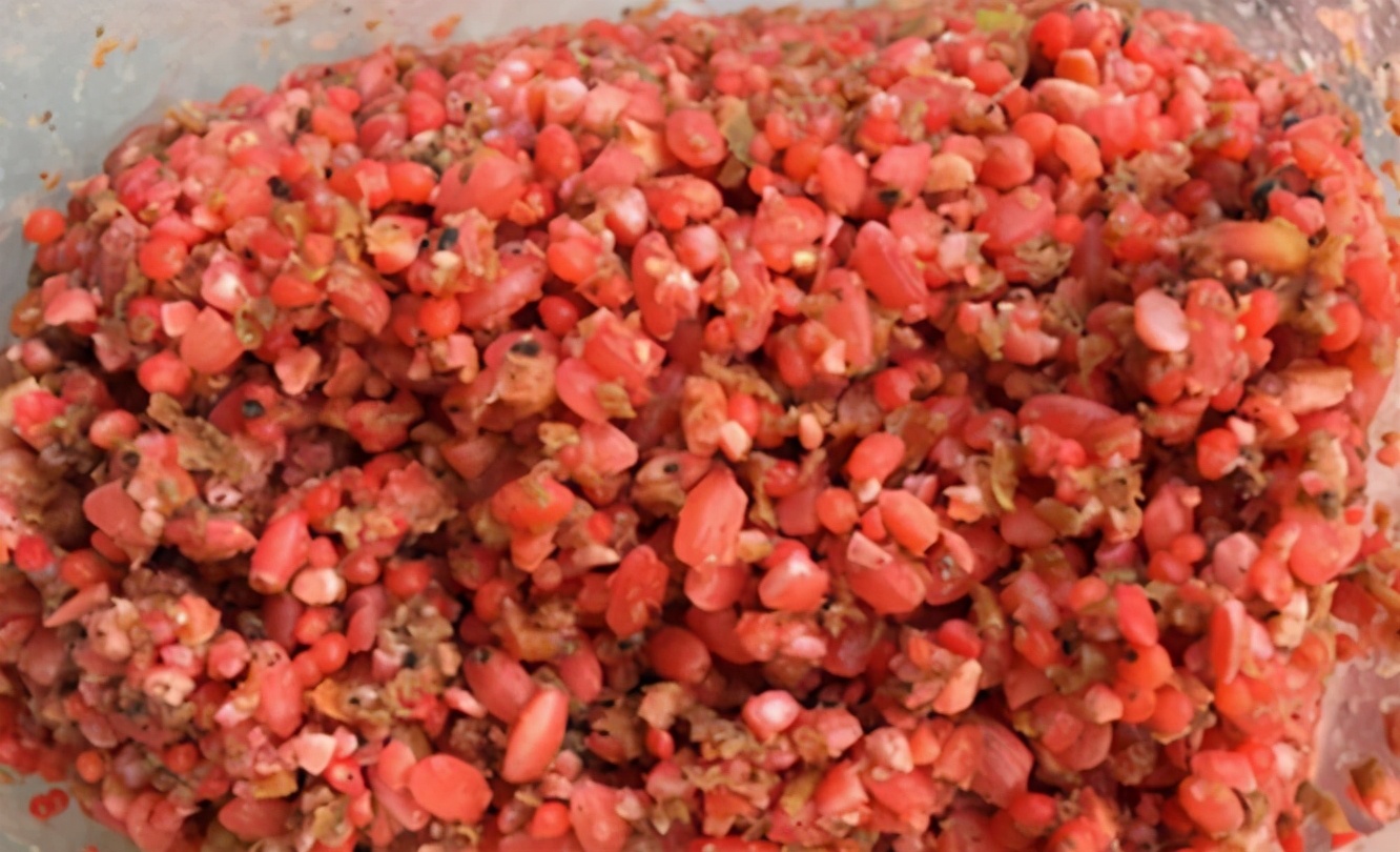 |窝料中加点“它”，打窝诱鱼有奇效