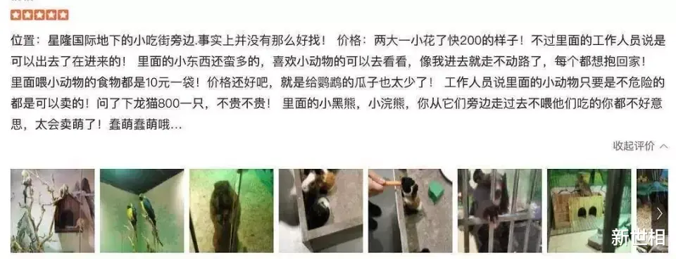 你喊的每一声“好萌”,背后都是她的“救命”