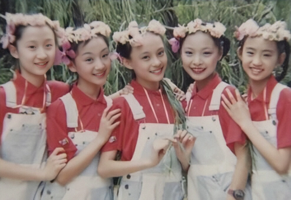 孙俪|不拍戏就不见踪影，拒绝参加综艺的孙俪，打了多少明星的脸？