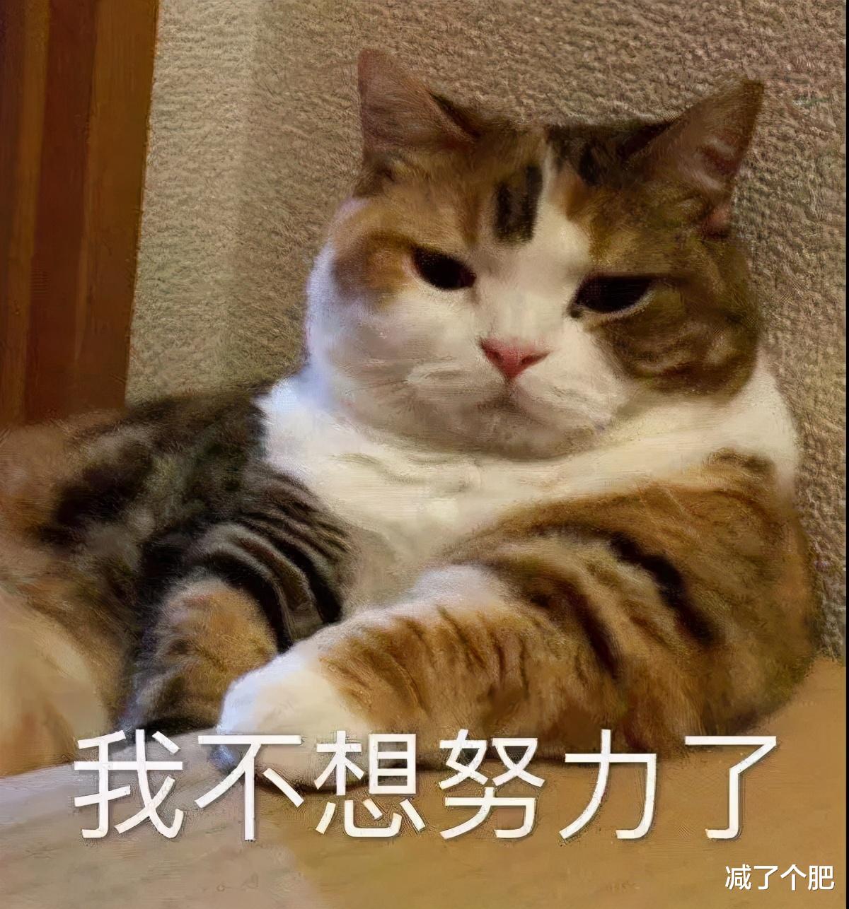 饮食|减肥那点事｜什么情况不是减肥平台期，怎么突破？