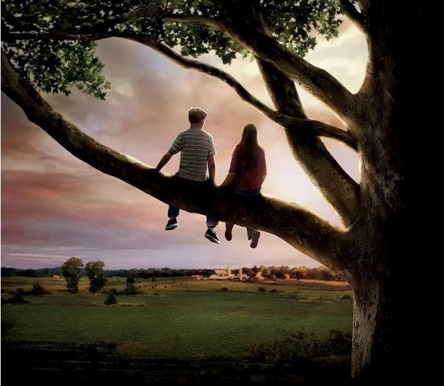 怦然心动|推荐10部爱情喜剧电影！《怦然心动》最让人念念不忘的青春！