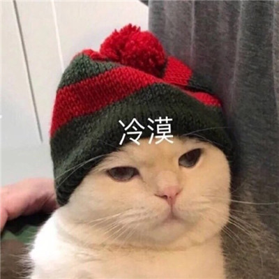 桉月|表情包：委屈难过的表情