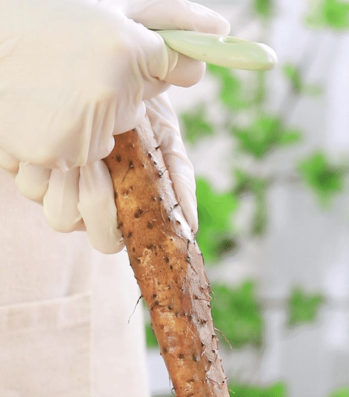 宝宝辅食微课堂|夏季最该吃的食物, 一定不能少了它, 利脾胃促消化, 怎么吃都不腻!