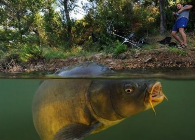 |野钓必学的8个秘诀，照我这样做，每次钓完美滋滋——盛世三渔