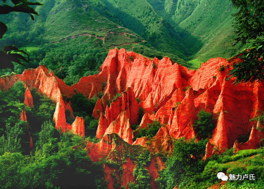 星耀见闻 卢氏五一假期吃喝玩乐全攻略！强烈建议收藏！