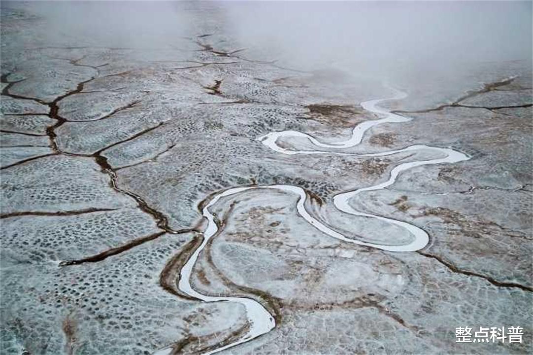 遗骸 永久冻土层溶解，5种史前生物遗骸被发现，人类或面临超级病毒？