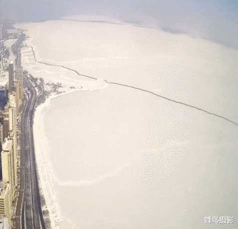 海豹 44张活久未见的照片，驴居然叼着一只狼，大白鲨撞飞海豹跃出水面捕食