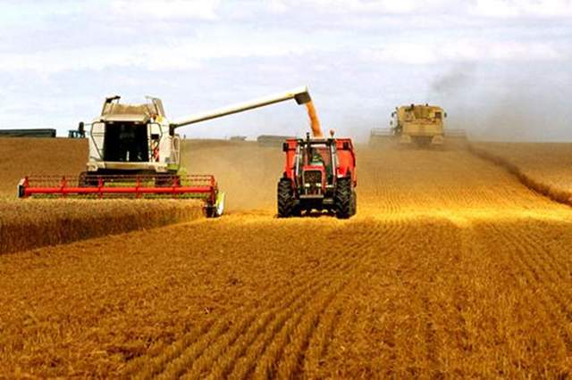 中新云农 美国的新农业和新农人“新”在哪里？