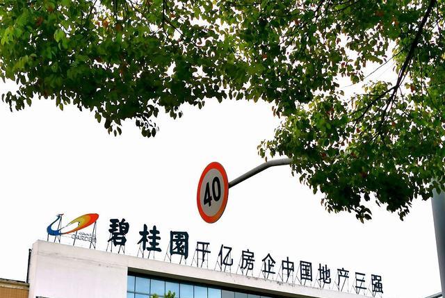 |40岁坐拥1850亿,9次问鼎中国女首富,就因是“富二代”?