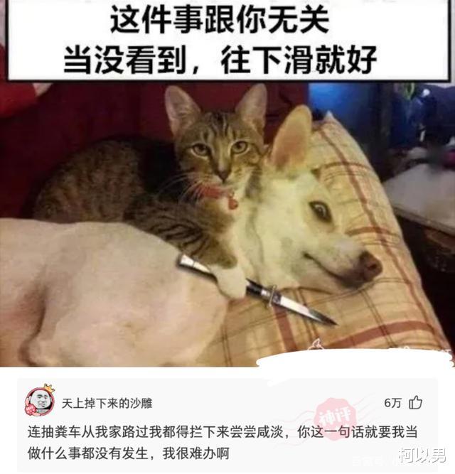 柯以男|神回复:如果携带一把无限子弹的AK47穿越回三国时期,你能打赢刘备吗?