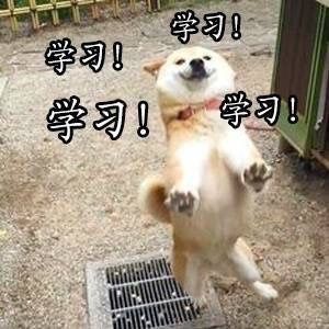 种草的小小苏|适合学生党用的洗面奶，平价好用，总有一款让你“倾心”