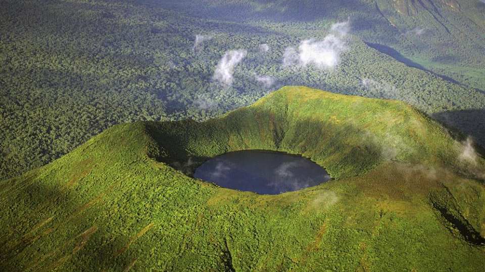 微生物 为何只要有水的地方，就会长出鱼？那些鱼都是从哪里来的呢？