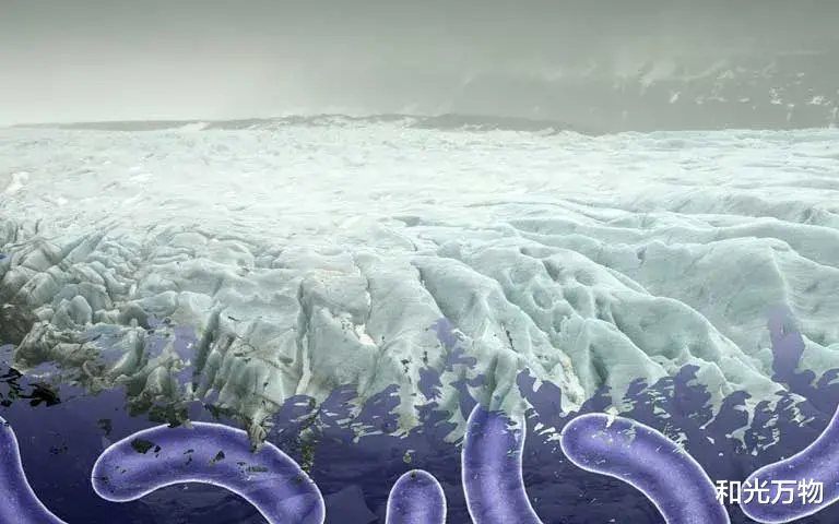 北极 北极永久冻土融化，或释放核废料和唤醒古老病毒，后果不可估量！