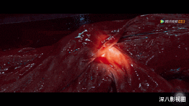 胡八一|滤镜再厚，胖成这样真的夸不出口