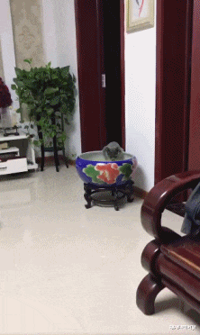 搞笑神回复|神回复:“如何用一句话来形容手机很卡?”网友评论太搞笑了啊!