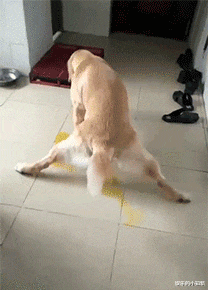 “我从泥里抓了只罕见巨蟹,被夹住就惨了”