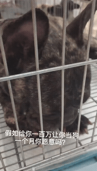 小姐姐 小姐姐果然是腿长任性，就是这个衣服容易让人误会，有些小小的尴尬！哇哈哈