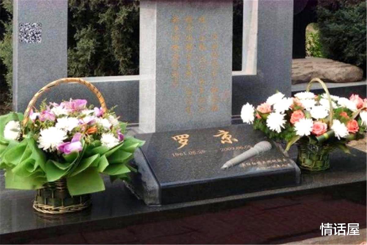 罗京|罗京离世12年母亲仍不知情，墓碑频频出“怪相”，背后有何隐情？