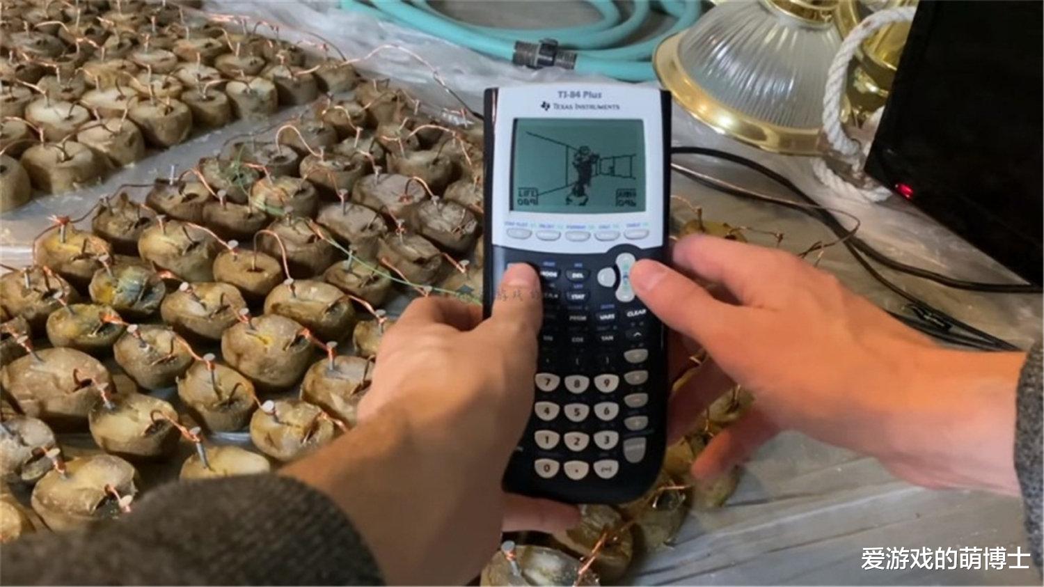 毁灭战士2|说出来你肯定不信，老鼠用VR游戏设备畅玩《毁灭战士2》