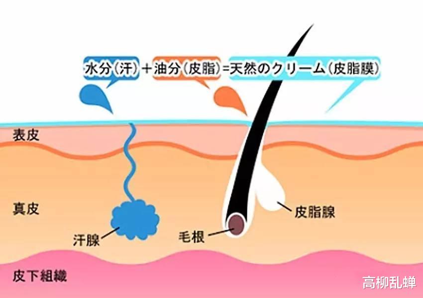赵本山|控油在路上！如何拯救你的油性皮肤，清爽整夏？