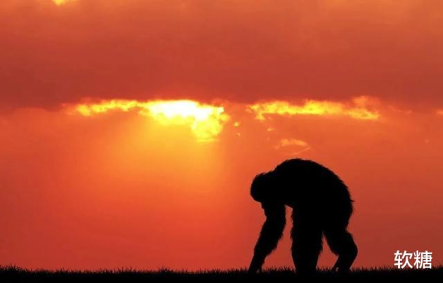  如果人类在地球上灭亡了，若干年后会不会重新出现在地球上？