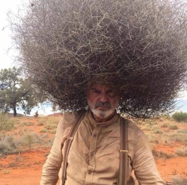 科学家 风滚草入侵全球，在美、澳肆意生长，为何在我国却很少？