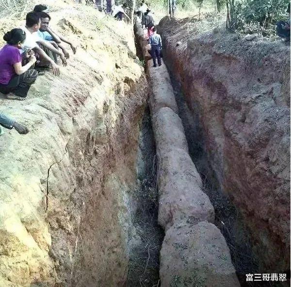 翡翠|翡翠原产地挖出一棵树，形似翡翠，价值竟然过亿！