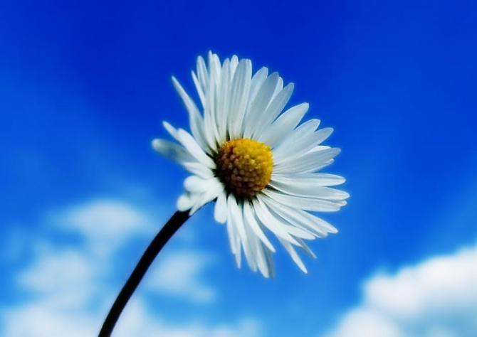 处女座|6月初，互诉衷肠，前任低头，终于复合，只想爱你