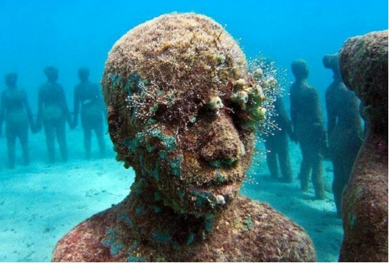 哺乳动物 人类起源于海洋？研究者给出4个“证据”，东南亚已有人告别陆地