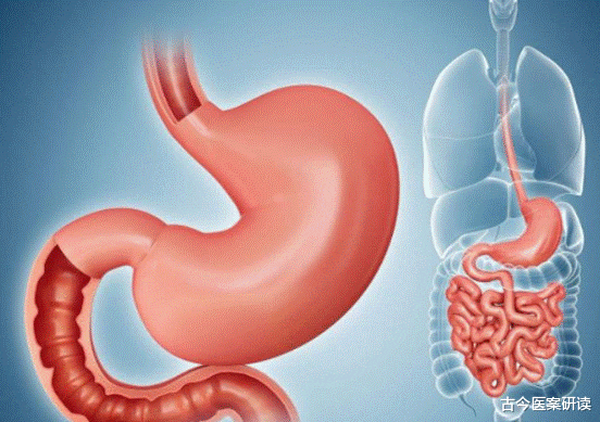 面条|胃部的“知音”已找到,并非小米,消化科医生:你若爱吃,胃病无处藏身