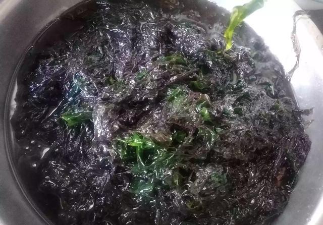 最精辟的一句话|春天来了，各地都有什么当季的美食？