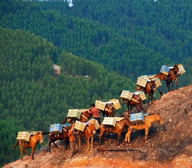 共产党宣言|JEAA黎先生为您诉说翡翠发展史（五）翡翠新篇理论