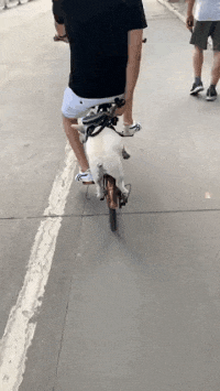  倒车没注意把消防栓撞了，水流了一个多小时，保险除了水费全包，大家知道水费要赔多少吗