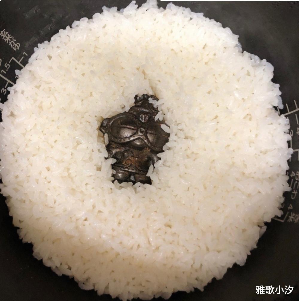 日本女子用“铁块”煮饭,网友好奇询问:这样可以吃的吗?
