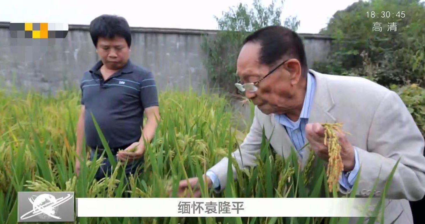 快乐大本营|芒果台发布，快乐大本营今夜停播，八点十分播出电影《袁隆平》！