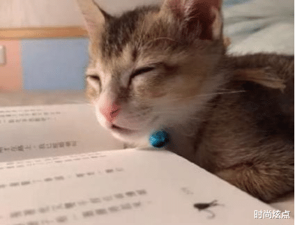 时尚炫点 “我发誓再也不网恋了，这照片跟本人对比，算不算诈骗？”