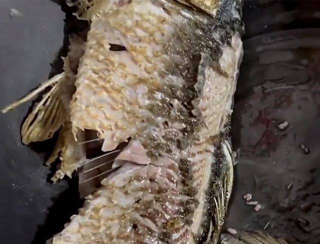 河南|河南一男子野钓大丰收，煮鱼时遇罕见经历，网友：事出无常必有妖