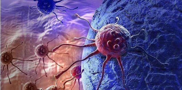 癌细胞|“抗癌之王”终于被发现，每天坚持吃，癌细胞再也不敢“猖狂”