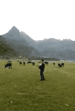 酒吧|“今天酒吧蹦迪时踩到的，软软的一团，这是啥啊”哈哈哈无敌了！！