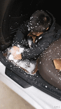 电影|“这些真实的电影镜头，有多少人误认为是特效？”