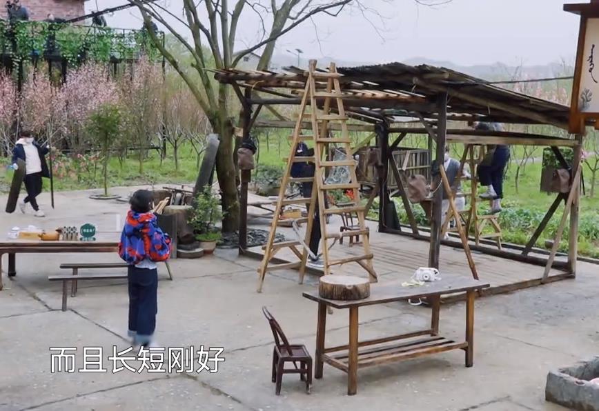 何炅|《向往的生活5》：蘑菇屋条件艰苦？何炅无心之言，扯下遮羞布