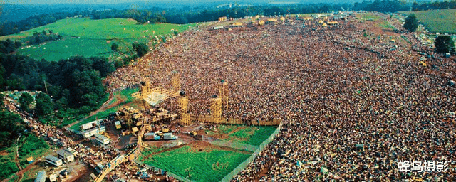  30张活久未见的照片，鲤鱼跃出水面吃树上的水果，这是要进化啊