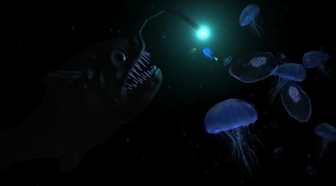 盗窃案 隐藏在深海中最凶残、狠毒的六种海洋生物！