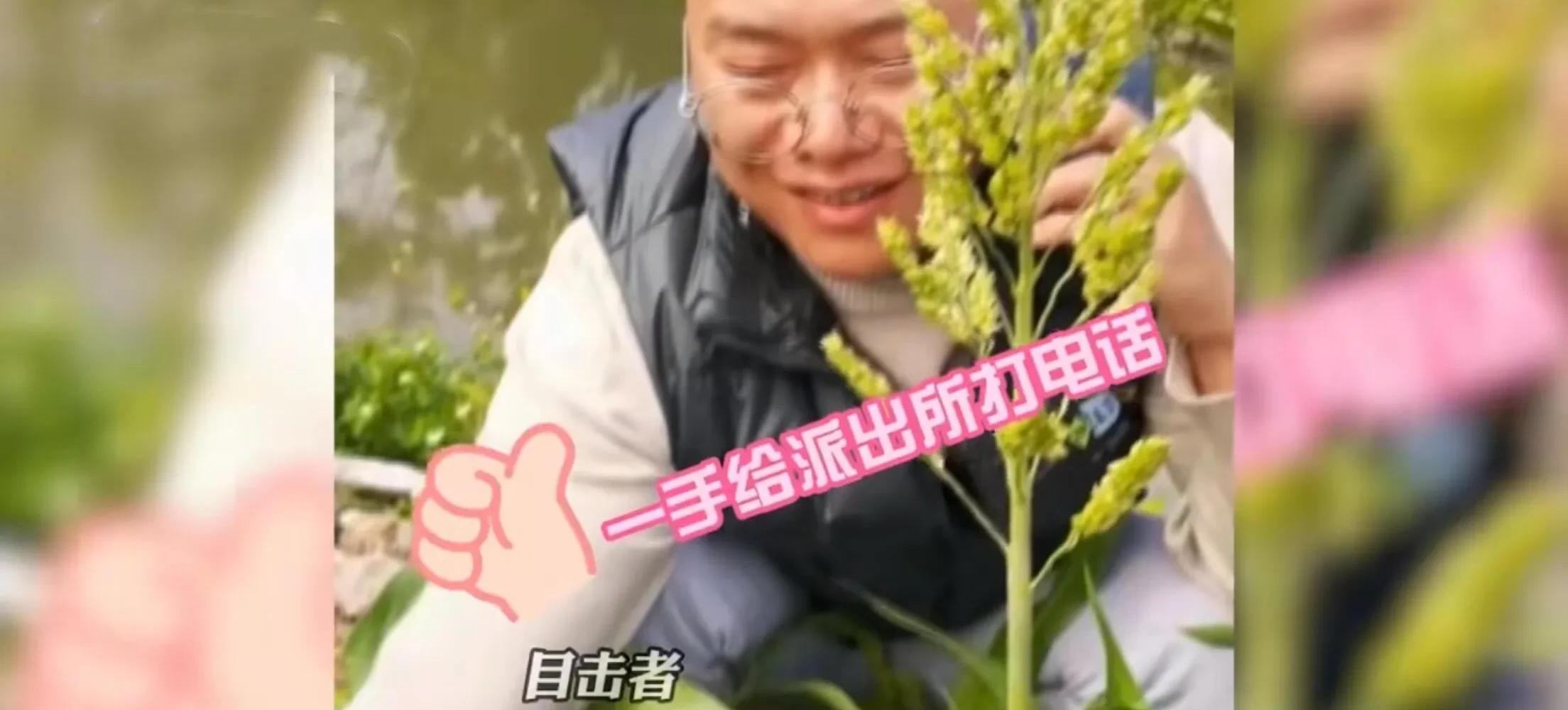 鳄鱼|钓鱼钓到鳄鱼，天下奇闻又事实存在，此事发生在广东可以吹一辈子