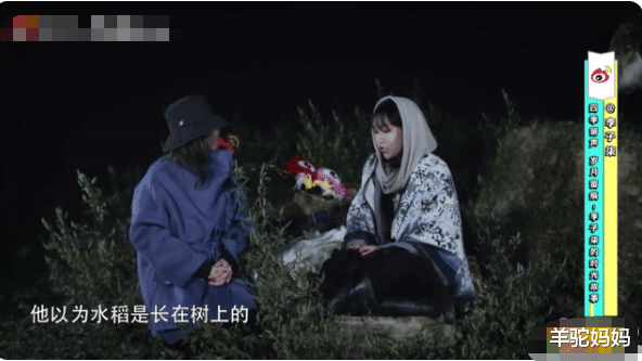 羊驼妈妈|李子柒请客吃饭视频火了，文化之美尽显，宝妈：孩子每天要看20遍